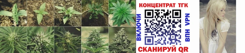 Дистиллят ТГК THC oil  mega   Великие Луки 