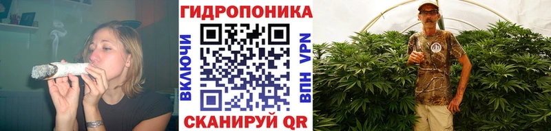 KRAKEN онион  Великие Луки  Бошки марихуана сатива 